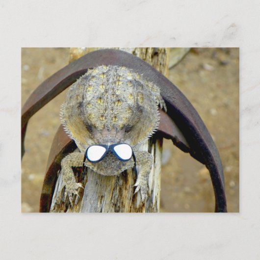 xoxo, Troy... Hi Cherie...LOL... oder ist es O.M.G Postkarte (Vorderseite)