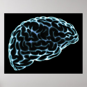 XRAY BRAIN SIDE BLIEB BLAU POSTER