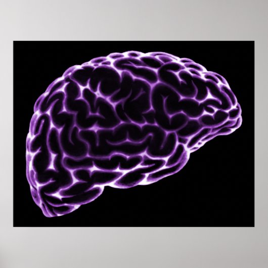 XRAY BRAIN SIDE VIEW LILA POSTER (Vorne)