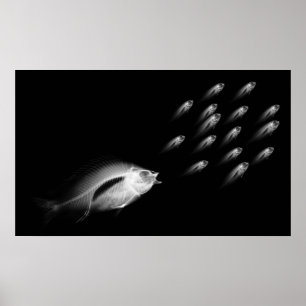 XRAY FISH CHASE BLACK GRAU POSTER