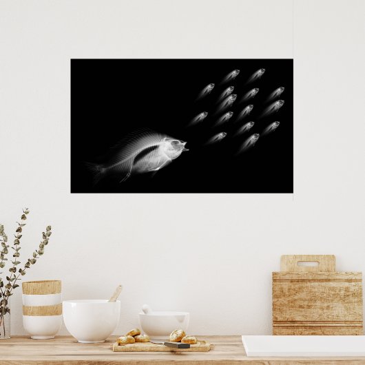 XRAY FISH CHASE BLACK GRAU POSTER (Küche)