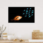 XRAY FISH CHASE BLACK ORIGINAL POSTER (Küche)