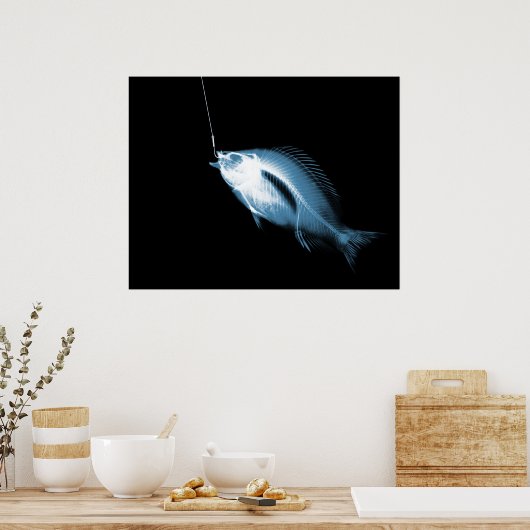 XRAY HOOK FISH BLACUE POSTER (Küche)