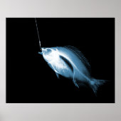XRAY HOOK FISH BLACUE POSTER (Vorne)