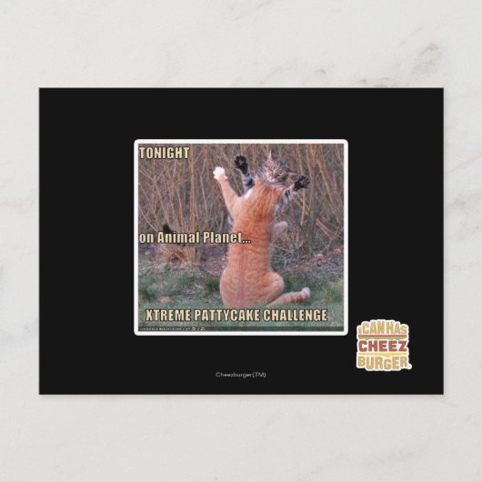 Xtreme PattyCake Challenge Postkarte (Vorderseite)