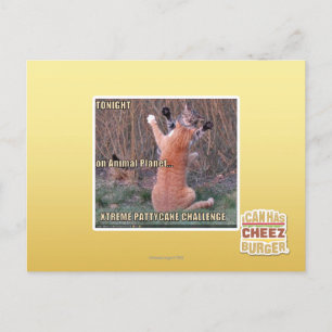 Xtreme PattyCake Challenge Postkarte