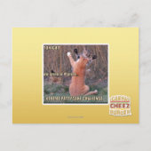 Xtreme PattyCake Challenge Postkarte (Vorderseite)