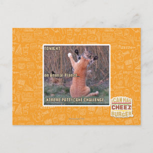 Xtreme PattyCake Challenge Postkarte