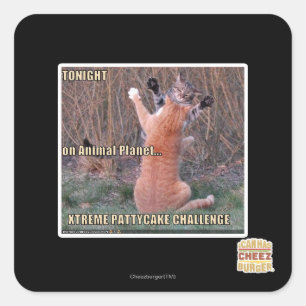 Xtreme PattyCake Challenge Quadratischer Aufkleber