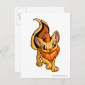 Xweetok Orange Postkarte (Vorne/Hinten)