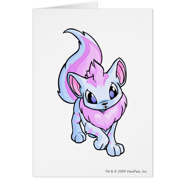 Xweetok Striped (Vorne)