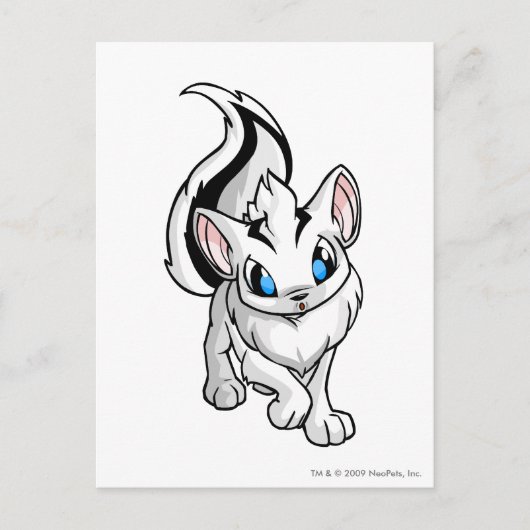 Xweetok White Postkarte (Vorderseite)