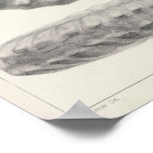 XX krebserregend Poster (Ecke)