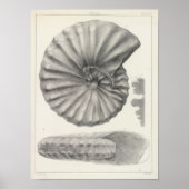 XX krebserregend Poster (Vorne)