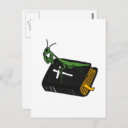 XX- Mantis auf einer Bibel beten Postkarte (Vorne/Hinten)