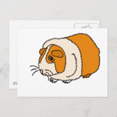 XX - Niedliche Guinea Cartoon Postkarte (Vorne/Hinten)