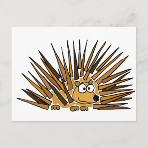 XX - Porcupine Art Cartoon Postkarte
