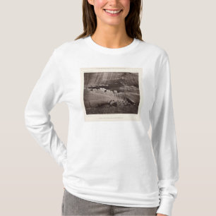 XX Ruinen, Canon de Chelle, New Mexiko T-Shirt