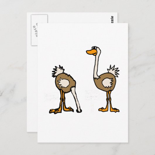 XX- Strauße in Sand Postkarte (Vorne/Hinten)
