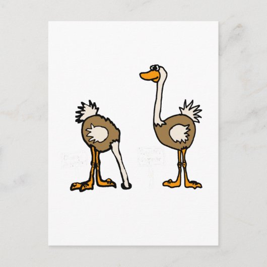 XX- Strauße in Sand Postkarte (Vorderseite)