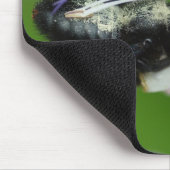 Xylocopa Mousepad (Ecke)