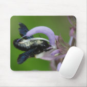 Xylocopa Mousepad (Mit Mouse)