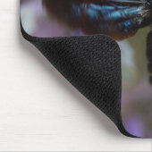 Xylocopa Mousepad (Ecke)