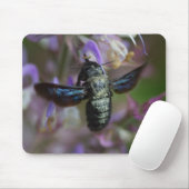 Xylocopa Mousepad (Mit Mouse)