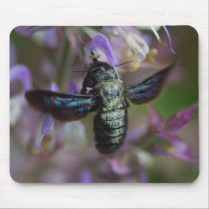 Xylocopa Mousepad