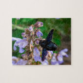 Xylocopa violacea puzzle (Horizontal)
