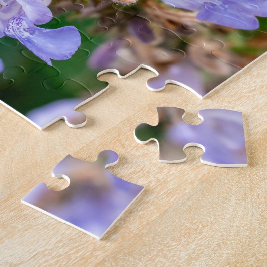 Xylocopa violacea puzzle (Seite)