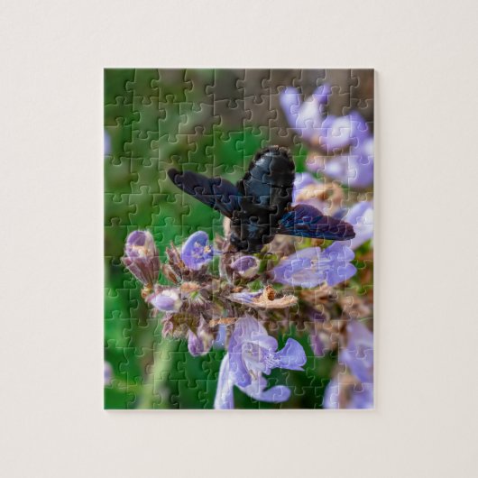 Xylocopa violacea puzzle (Vertikal)