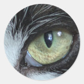 Xylo's Eye Aufkleber (Vorderseite)