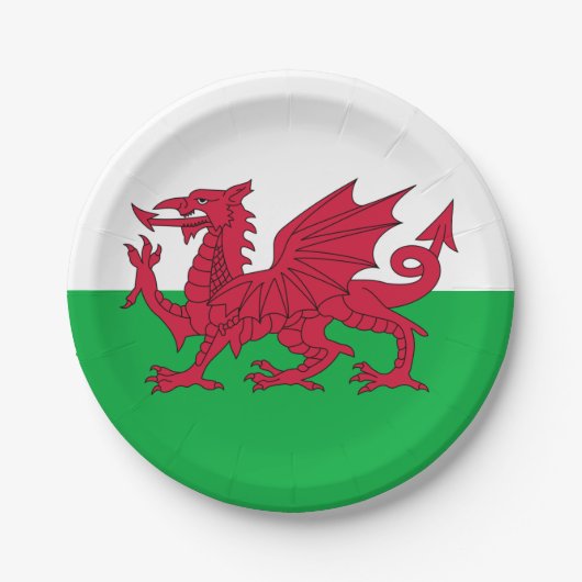 Y Ddraig Goch: Walisische Flag Paper Party Plate Pappteller (Vorderseite)