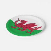 Y Ddraig Goch: Walisische Flag Paper Party Plate Pappteller (Schrägansicht)