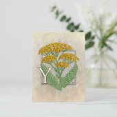 Y für die Yarrow Blume Alphabet Postkarte (Stehend Vorderseite)
