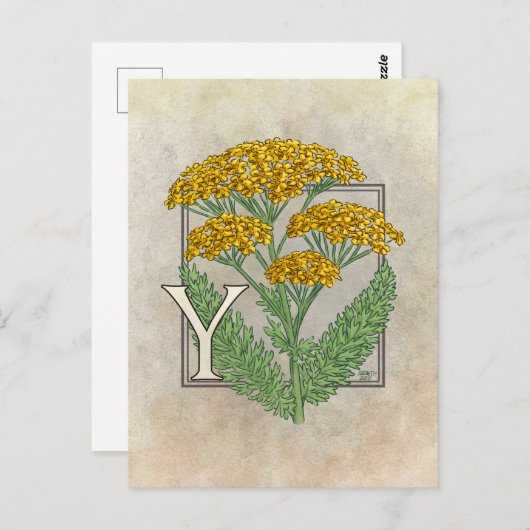 Y für die Yarrow Blume Alphabet Postkarte (Vorne/Hinten)