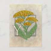 Y für die Yarrow Blume Alphabet Postkarte (Vorderseite)