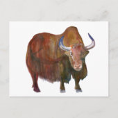 Y. Yak / Postfach Postkarte (Vorderseite)