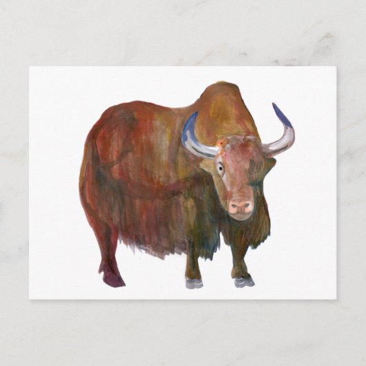 Y. Yak / Postfach Postkarte (Vorderseite)