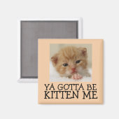 Ya muss Kitten me sein, Funny Cat Magnete Magnet (Vorderseite/Rückseite)