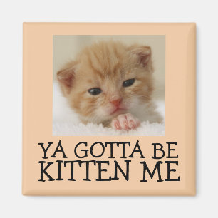 Ya muss Kitten me sein, Funny Cat Magnete Magnet