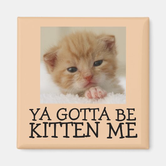 Ya muss Kitten me sein, Funny Cat Magnete Magnet (Vorne)