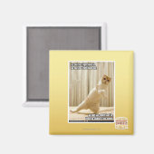 Ya, stecken Sie den rechten Fuß hinein, ya stellen Magnet (Vorderseite/Rückseite)