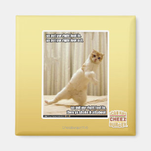 Ya, stecken Sie den rechten Fuß hinein, ya stellen Magnet