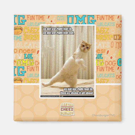 Ya, stecken Sie den rechten Fuß hinein, ya stellen Magnet (Vorne)