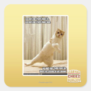 Ya, stecken Sie den rechten Fuß hinein, ya stellen Quadratischer Aufkleber