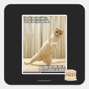 Ya, stecken Sie den rechten Fuß hinein, ya stellen Quadratischer Aufkleber