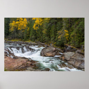 Yaak fällt im Herbst im Kootenai-Nationalstaat Poster