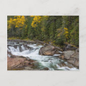 Yaak fällt im Herbst im Kootenai-Nationalstaat Postkarte (Vorderseite)